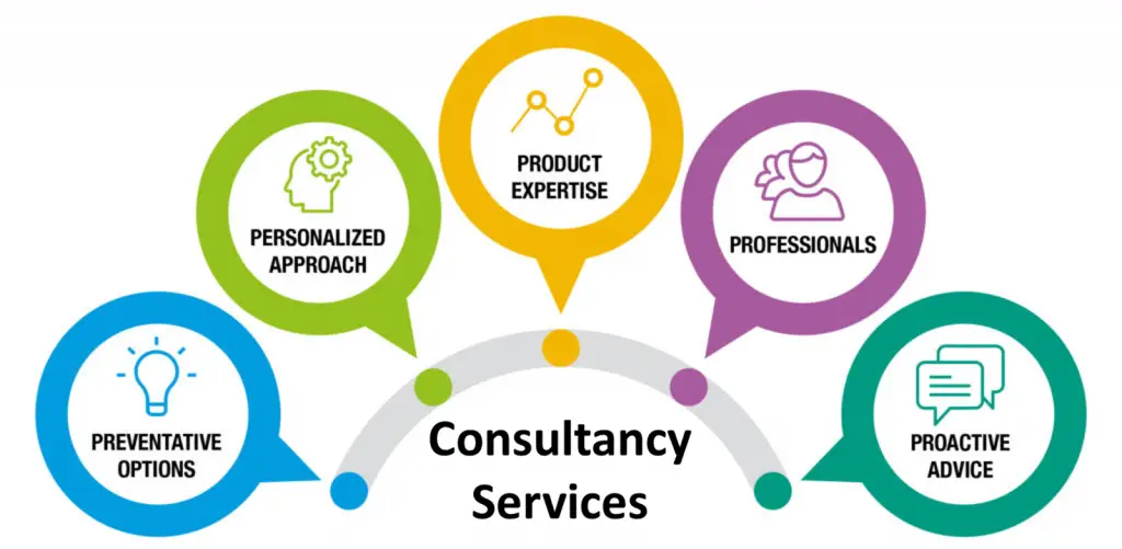 Consulting Services